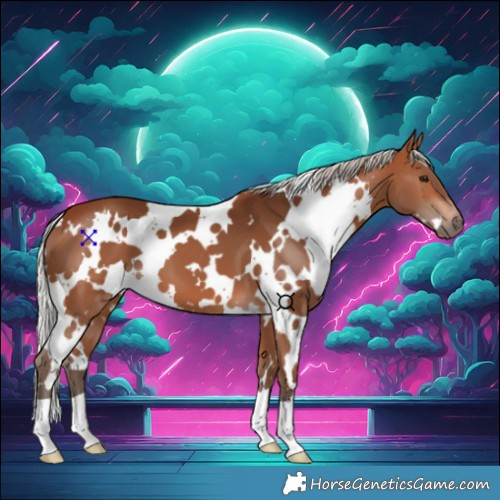 Horse Color:White Spotted Silver Brown 