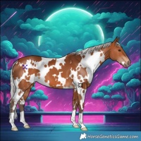 Horse Color:White Spotted Silver Brown