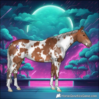 Horse Color:White Spotted Silver Brown