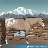 Horse Color:Liver Red Dun Blanket 