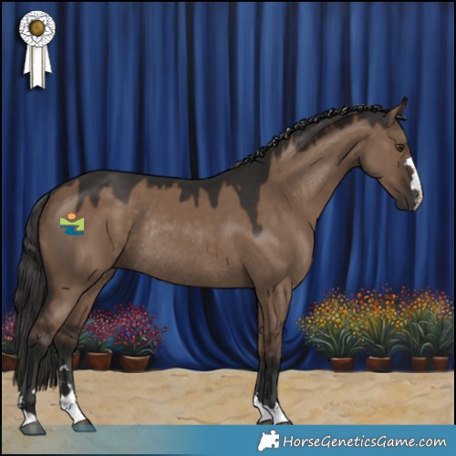Horse Color:Liver Red Dun Rabicano 