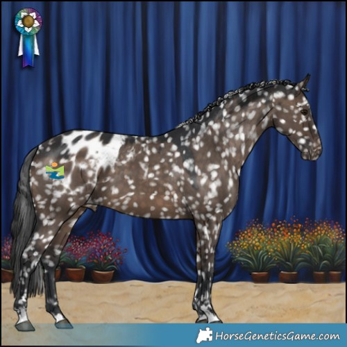 Horse Color:Brown Dun Blanket 