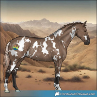Horse Color:White Spotted Liver Red Dun Rabicano 