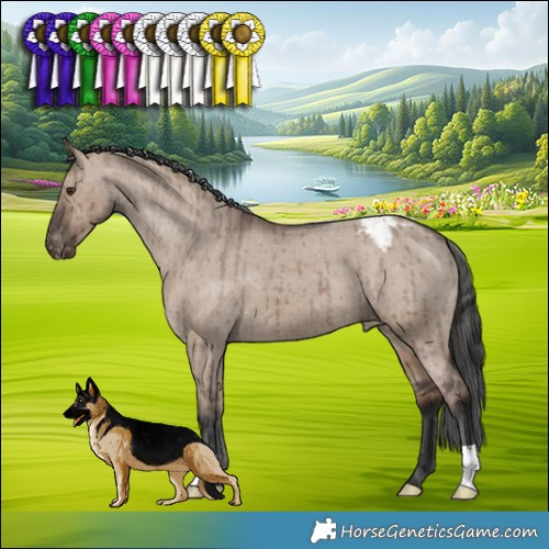 Horse Color:Liver Red Dun Appaloosa Brindle