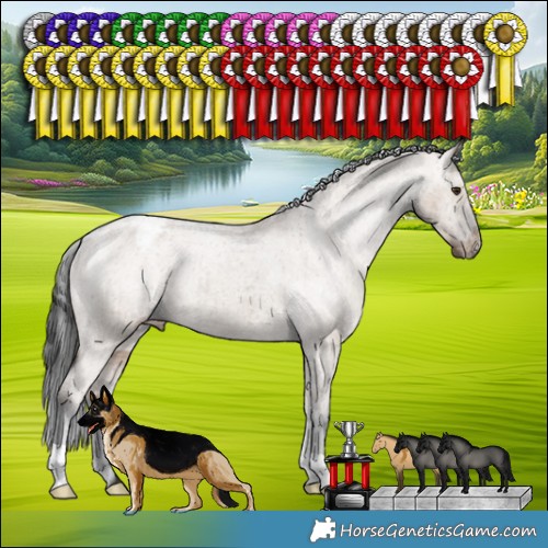 Horse Color:Liver Red Dun Appaloosa Brindle