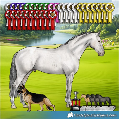 Horse Color:Liver Red Dun Appaloosa Brindle