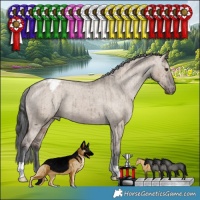 Horse Color:Liver Red Dun Appaloosa Brindle 