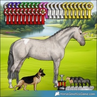 Horse Color:Liver Red Dun Appaloosa Brindle 
