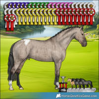 Horse Color:Liver Red Dun Varnish Brindle