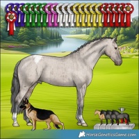 Horse Color:Liver Red Dun Appaloosa Brindle