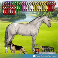 Horse Color:Liver Red Dun Appaloosa Brindle 