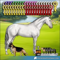 Horse Color:Liver Red Dun Varnish Brindle