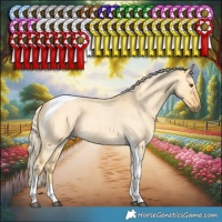 Horse Color:Palomino Roan Dun Tobiano