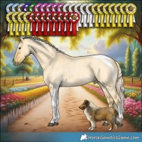 Horse Color:Palomino Roan Dun Tobiano