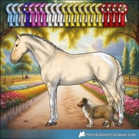 Horse Color:Palomino Roan Dun Tobiano 