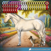 Horse Color:Palomino Roan Dun Tobiano 