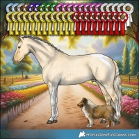 Horse Color:Palomino Roan Dun Tobiano