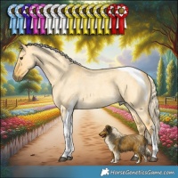 Horse Color:Palomino Roan Dun Tobiano