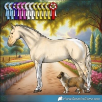 Horse Color:Palomino Roan Dun Tobiano