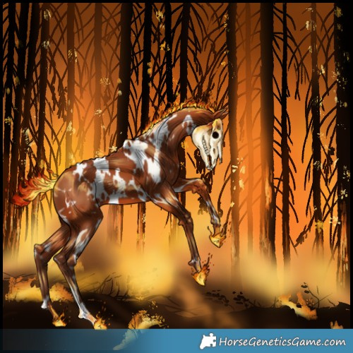 Horse Color:White Spotted Silver Bay 