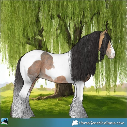 Horse Color:Bay Ice Tobiano Rabicano