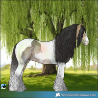 Horse Color:Bay Ice Tobiano Rabicano 