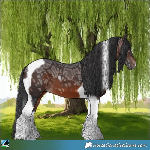 Horse Color:Brown Ice Mushroom Tobiano 