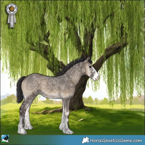 Horse Color:Smoky Grullo Ice Onyx Sabino Rabicano Brindle 