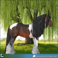 Horse Color:Brown Mushroom Tobiano Rabicano