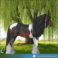 Horse Color:Brown Mushroom Tobiano Rabicano 