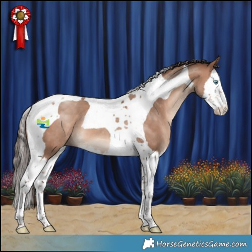 Horse Color:Sable Champagne Splash Tobiano 