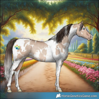Horse Color:White Spotted Amber Champagne Dun Tobiano Rabicano