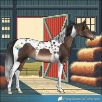 Horse Color:Brown Tobiano 