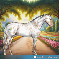 Horse Color:White Spotted Silver Bay Pearl Dun Appaloosa 