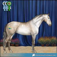 Horse Color:Gray White Spotted Grullo Snowdrop Tobiano