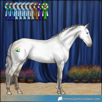 Horse Color:Gray White Spotted Grullo Snowdrop Tobiano 