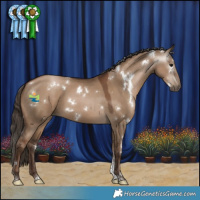 Horse Color:Gray White Spotted Grullo Pearl Tobiano
