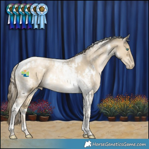 Horse Color:White Spotted Smoky Grullo Pearl Tobiano Rabicano 