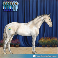 Horse Color:White Spotted Smoky Grullo Pearl Tobiano Rabicano
