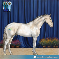 Horse Color:White Spotted Smoky Grullo Pearl Tobiano Rabicano 