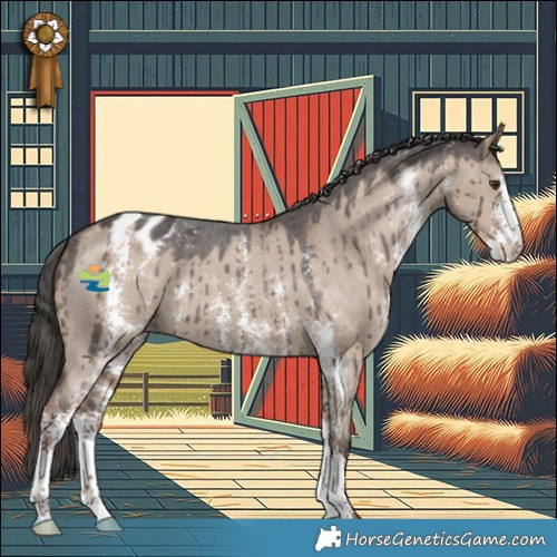Horse Color:Liver Red Dun Sabino Appaloosa Brindle 