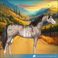 Horse Color:Liver Red Dun Sabino Snowflake Varnish Brindle