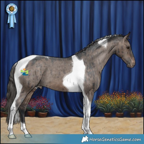 Horse Color:Brown Dun Tobiano Appaloosa Brindle 