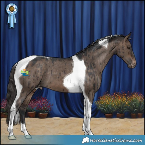 Horse Color:Brown Dun Tobiano Varnish Brindle 