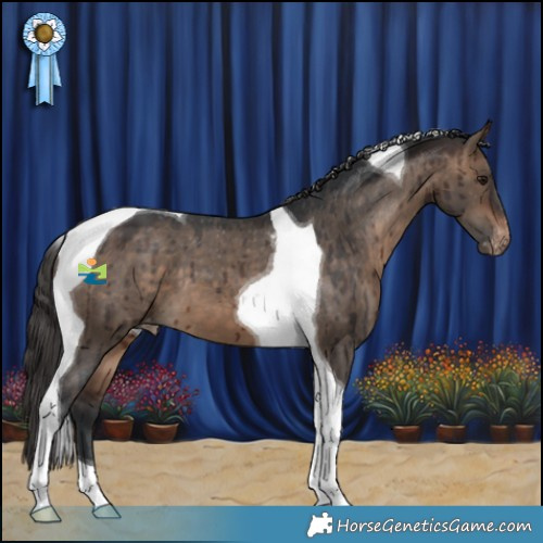 Horse Color:Brown Dun Tobiano Appaloosa Brindle