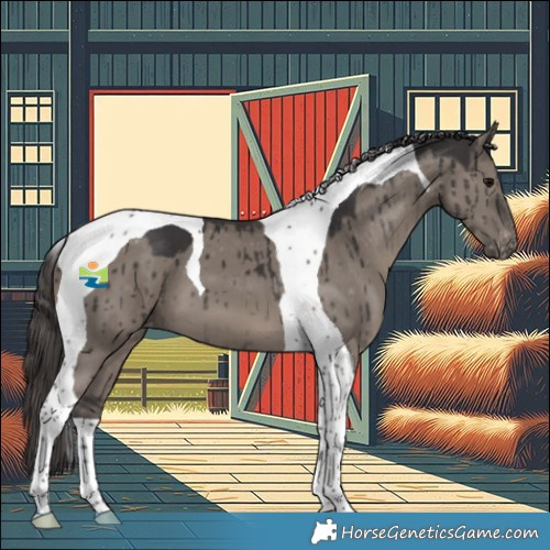 Horse Color:Smoky Grullo Tobiano Appaloosa Brindle 