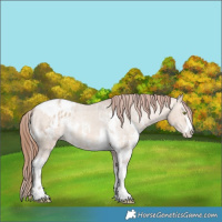 Horse Color:Amber Champagne Dun Sabino Tobiano Varnish  and Amber Champagne Dun Sabino Tobiano Varnish 