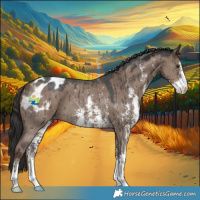 Horse Color:Liver Red Dun Sabino Appaloosa Brindle 