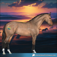 Horse Color:Bay Dun Rabicano 