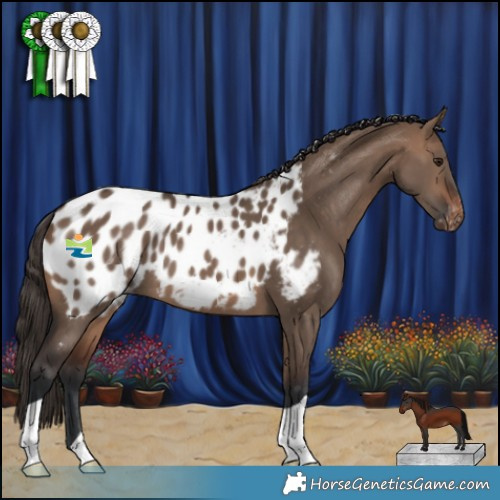 Horse Color:Brown Dun Blanket 